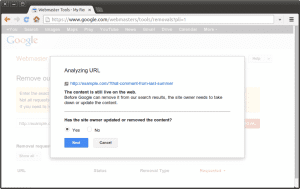 google general url removal tool