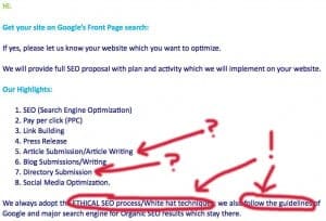 ethical seo services