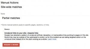google manual action partial match