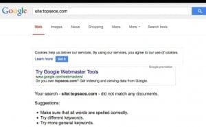 Top SEOs banned