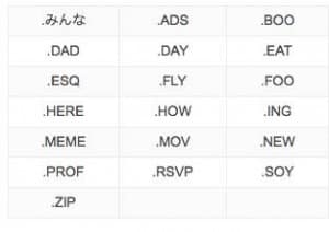 google registry new gTLDs