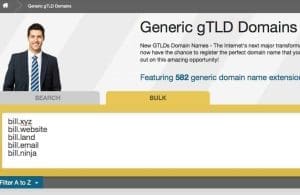 bulk domain search