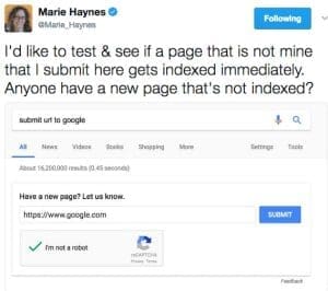 marie haynes submit url google