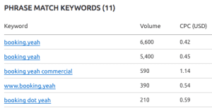 booking.yeah data new gtld