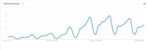 hurricane irma searches