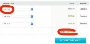 100 year domain name registration