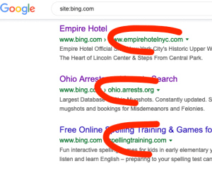 Bing redirects indexed in Google
