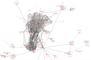 Majestic Link Graph