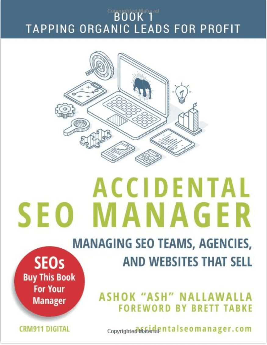 Accidental SEO Manager: Managing SEO Teams, Agencies, and Websites that Sell (Tapping Organic Leads for Profit Book 1)