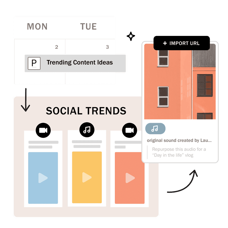 Planoly auto organize content
