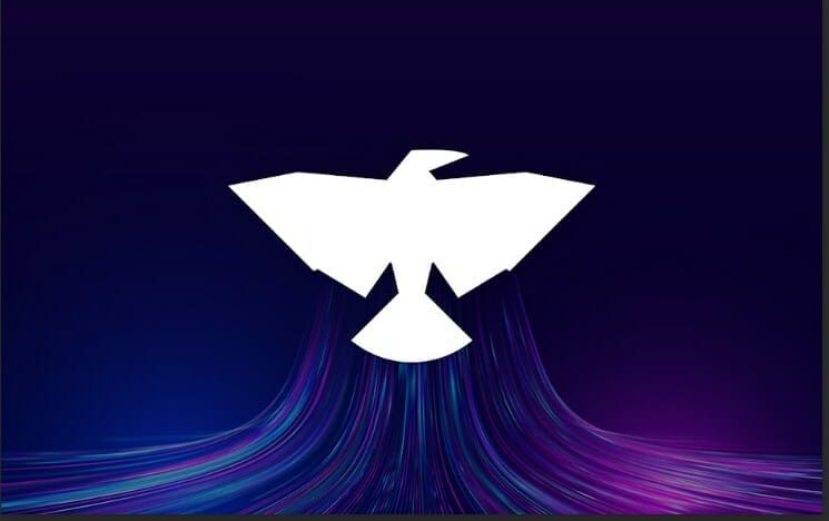 Blackbird AI