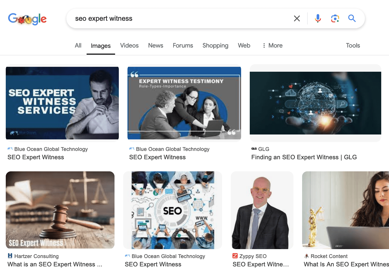SEO expert witness, google image results