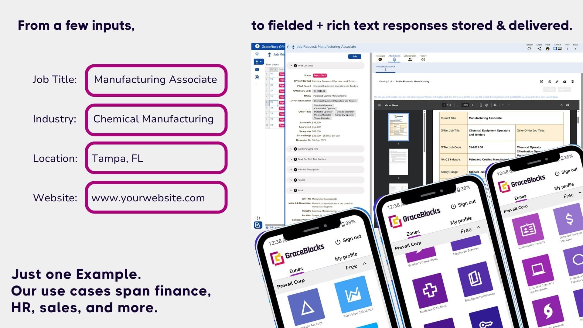 From a fiew basic inputs, GraceBlocks can apply intelligence at scale to serve your use case.