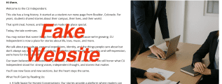 Fake about page
