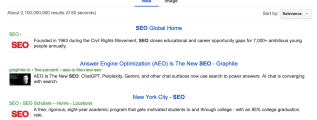 newgle search engine results for "SEO"